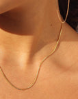 Delaney Chain