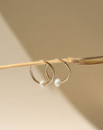 14k gold fill 14mm hoops with a freshwater pearl dangling from the bottom of each hoop, the earrings are displayed on a post in the sunlight