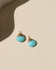 Turquoise Hoop Add-Ons