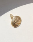 Shell Charm