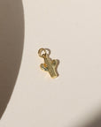 Cactus Charm