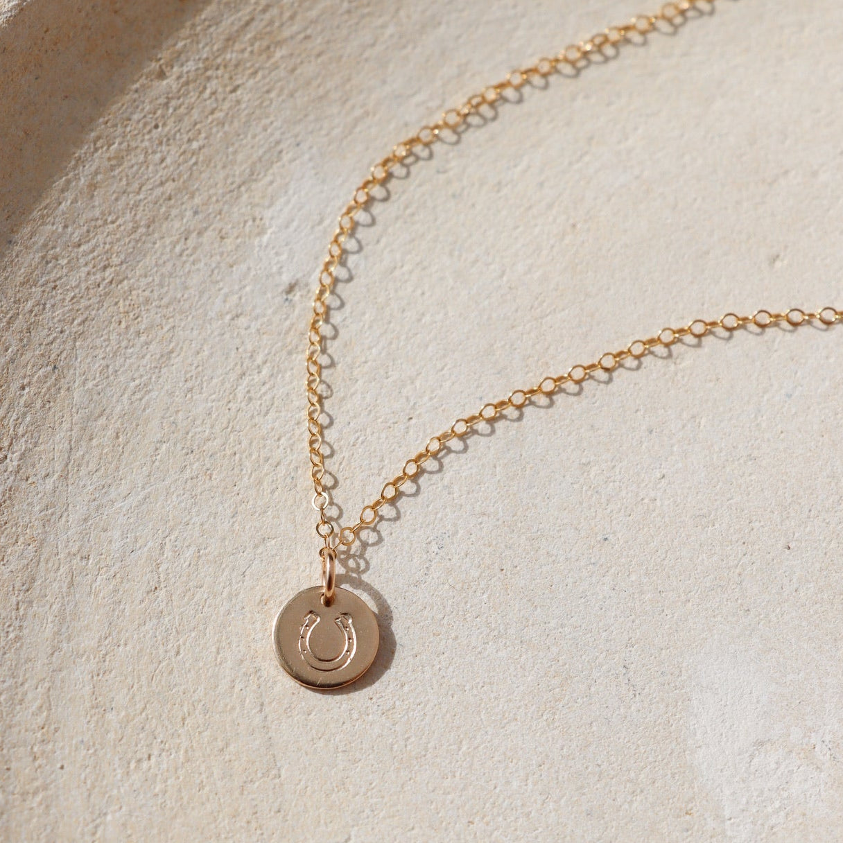 Horseshoe Disc Necklace
