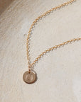 Horseshoe Disc Necklace