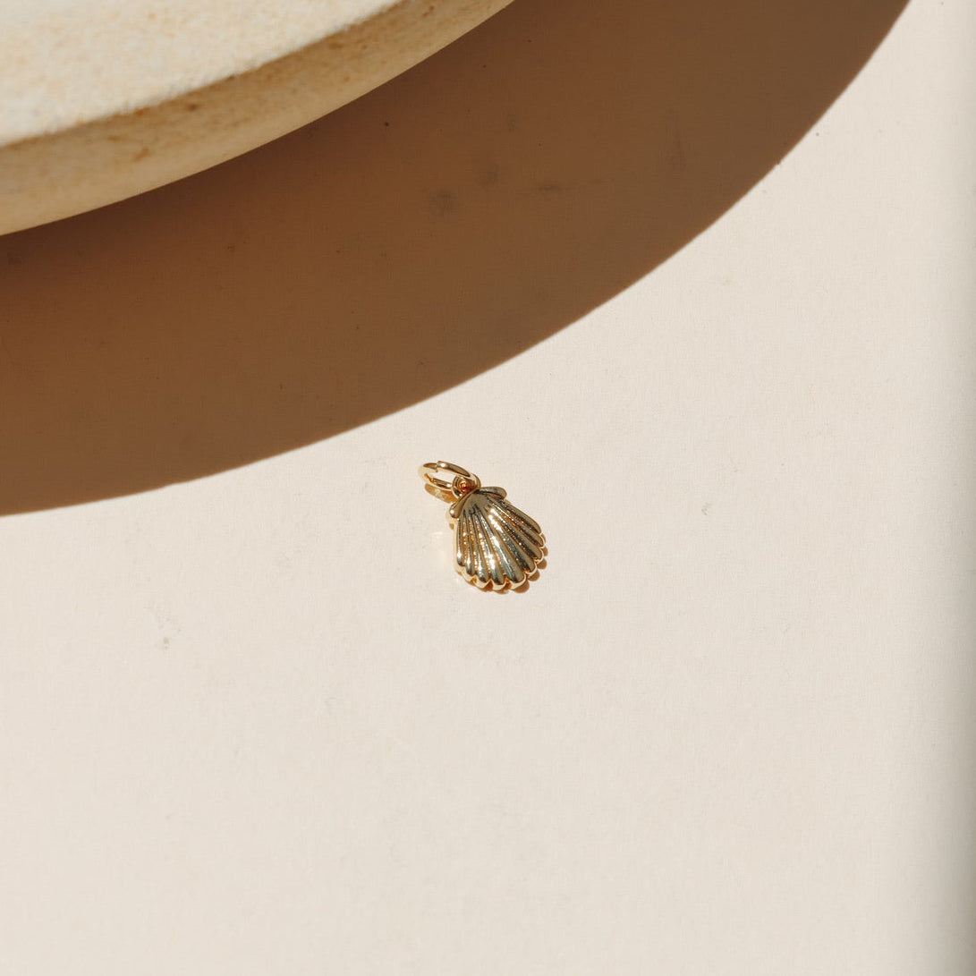 Tiny gold clam shell charm displayed on a neutral surface in warm natural light.