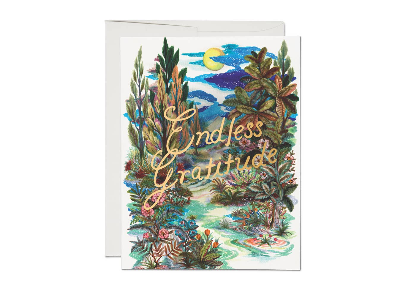 Endless Gratitude Thank You Card