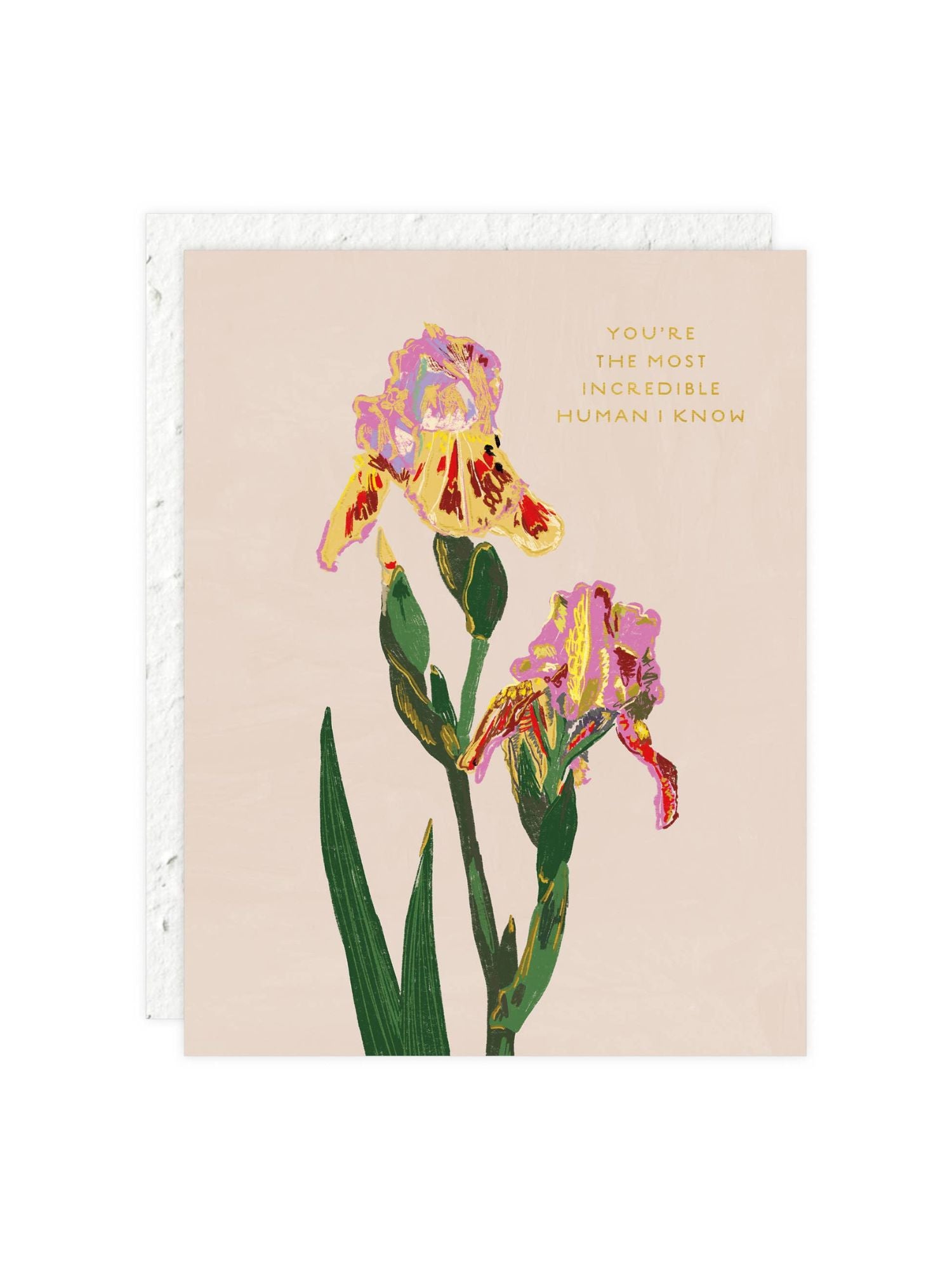 Whimsy Bloom - Love + Friendship Card